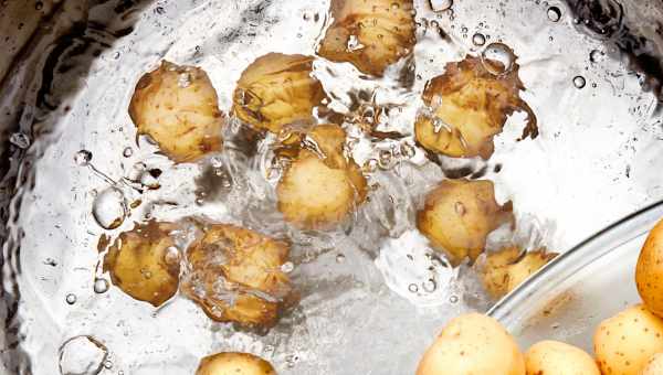 Чи можна мити картоплю перед закладкою на зберігання в льох?